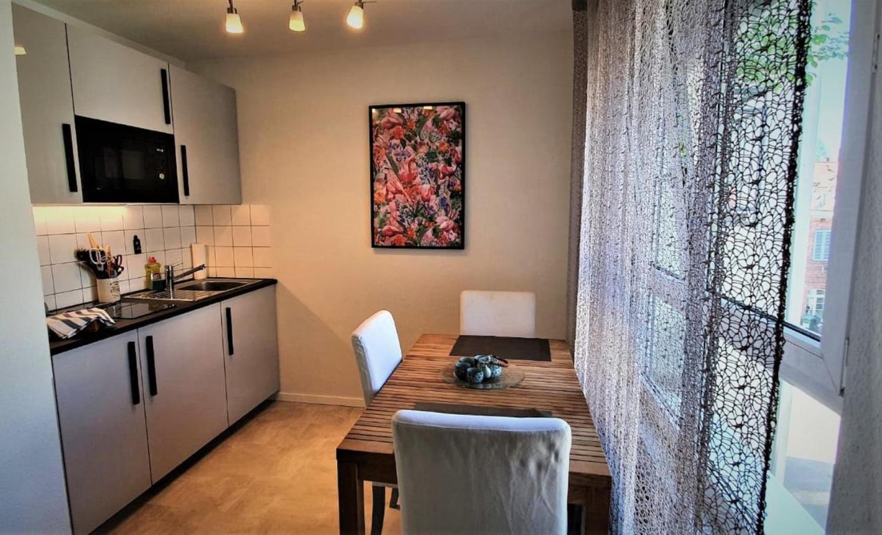 Deluxe Apartment Flamingo In Paradise Freiburg im Breisgau Eksteriør billede