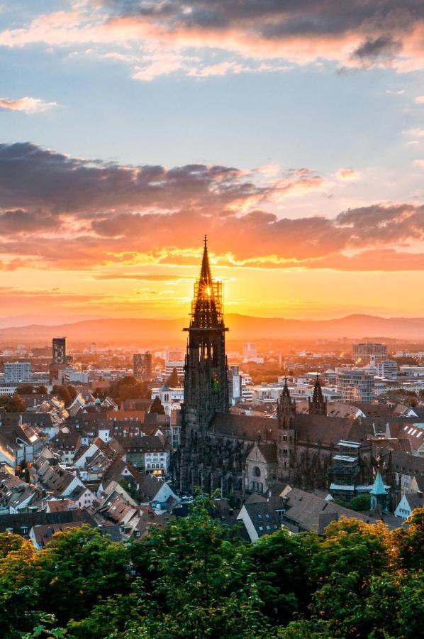 Deluxe Apartment Flamingo In Paradise Freiburg im Breisgau Eksteriør billede