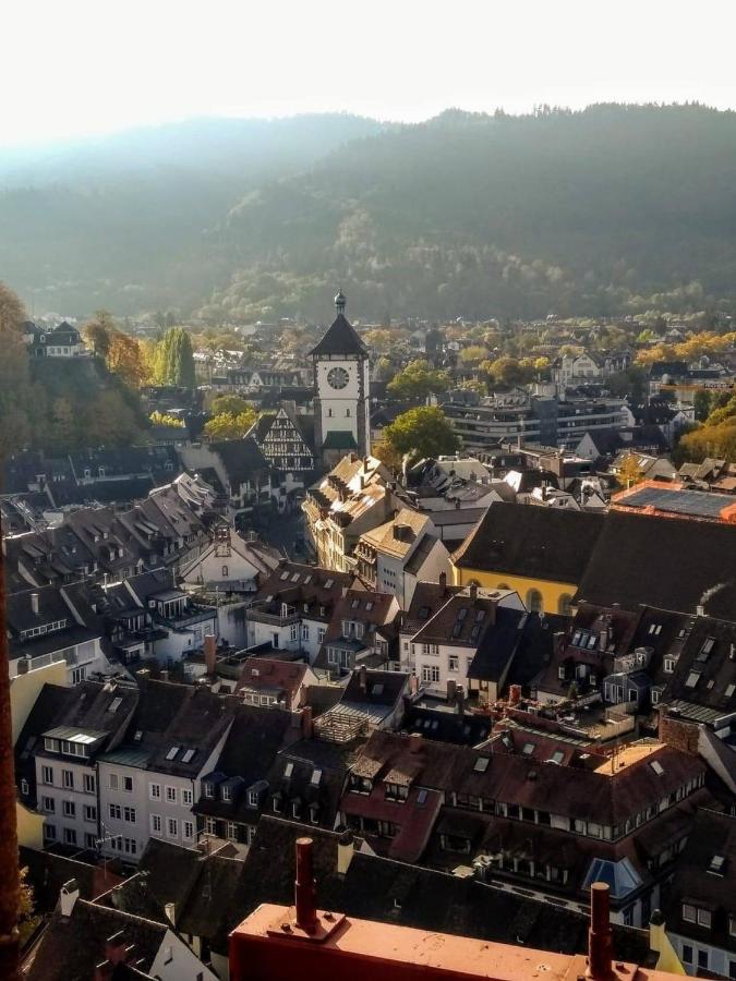 Deluxe Apartment Flamingo In Paradise Freiburg im Breisgau Eksteriør billede