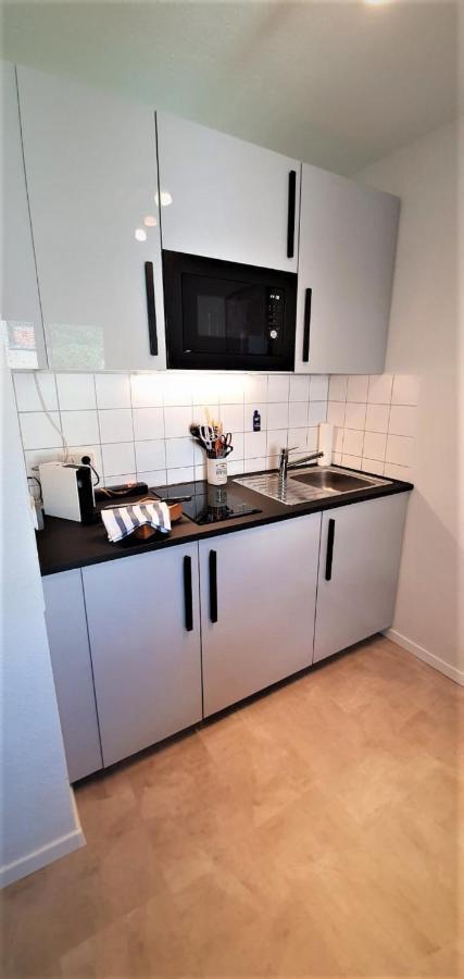Deluxe Apartment Flamingo In Paradise Freiburg im Breisgau Eksteriør billede